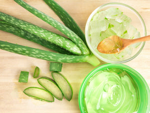 Proven Benefits & Uses Of Aloe Vera