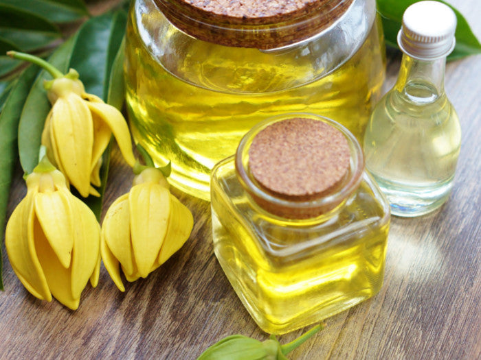 Surprising Benefits Of Ylang Ylang Essential Oil
